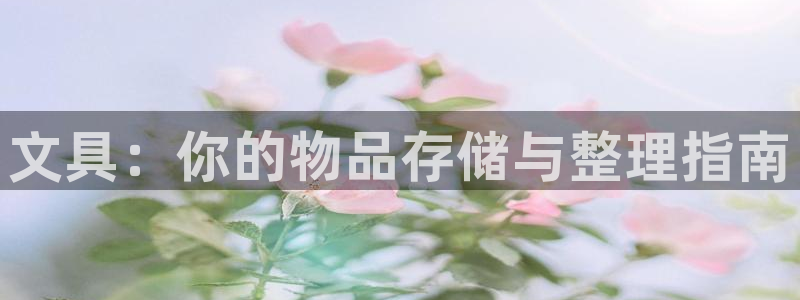 卧龙沙滩蹦床娱乐
