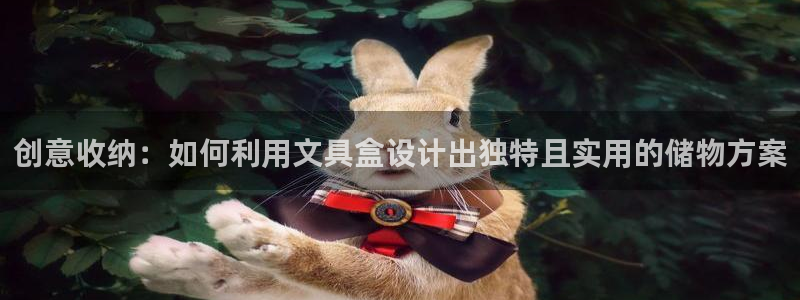 卧龙娱乐怎么注册：创意收纳：如何利用文具