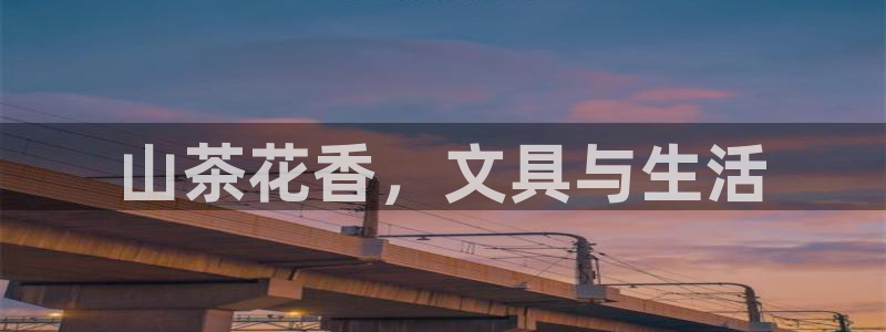 ta娱乐 卧龙股东60447