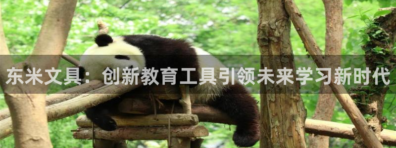 卧龙娱乐后：东米文具：创新教育工具引领未