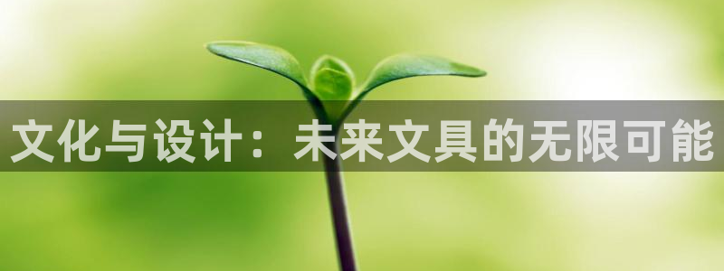 卧龙娱乐挂机平台官网