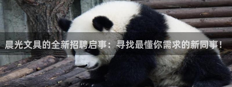 卧龙娱乐是真假吗：晨光文具的全新招聘启事