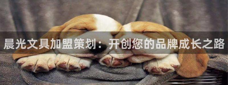 卧龙娱乐怎样注册公司：晨光文具加盟策划：