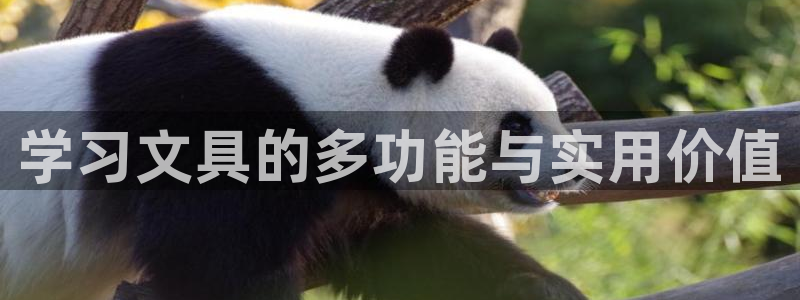 卧龙娱乐3822233：学习文具的多功能