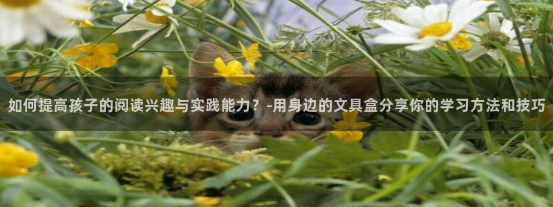 卧龙港娱乐城：如何提高孩子的阅读兴趣与实