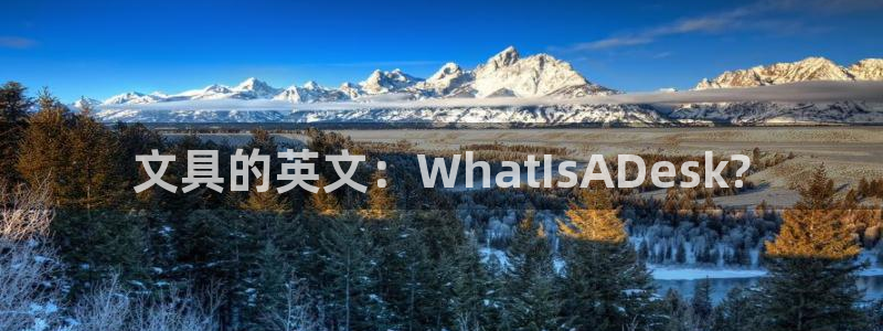 卧龙娱乐总管是谁呀：文具的英文：What