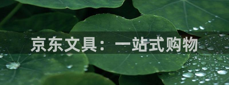 卧龙娱乐软件：京东文具：一站式购物