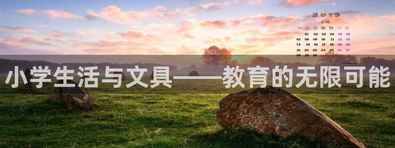 卧龙娱乐后：小学生活与文具——教育的无限