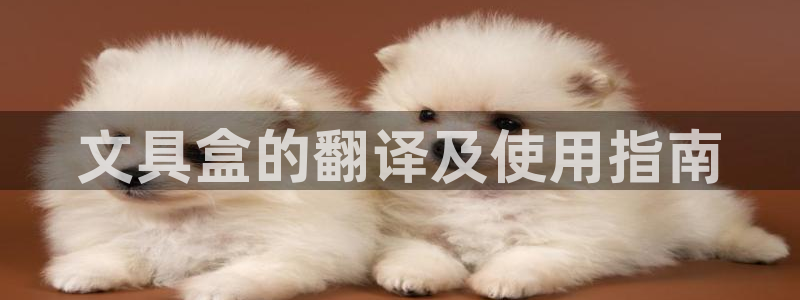 娱乐资讯君卧龙：文具盒的翻译及使用指南