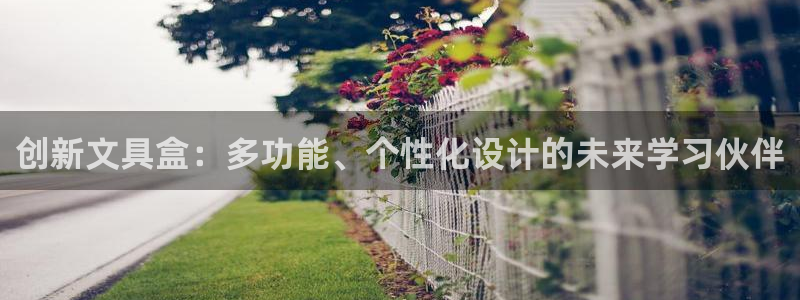 卧龙娱乐在线：创新文具盒：多功能、个性化