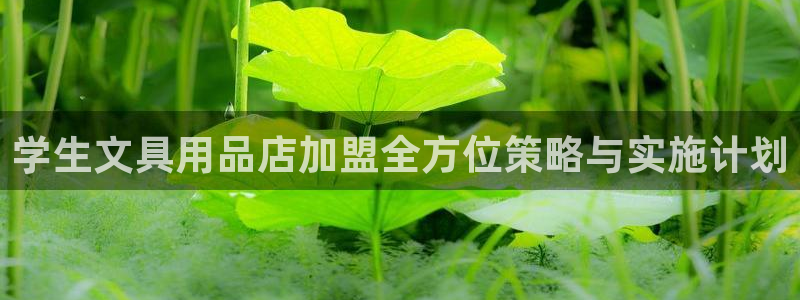 卧龙娱乐直播间：学生文具用品店加盟全方位