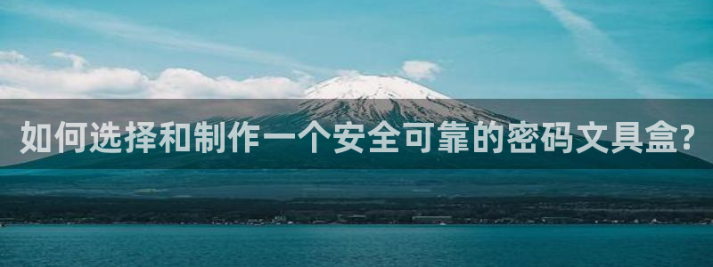 卧龙娱乐老板叫什么：如何选择和制作一个安