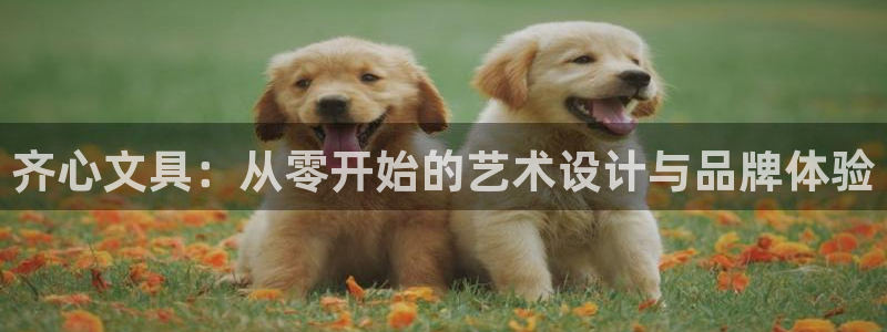 卧龙娱乐测速：齐心文具：从零开始的艺术设