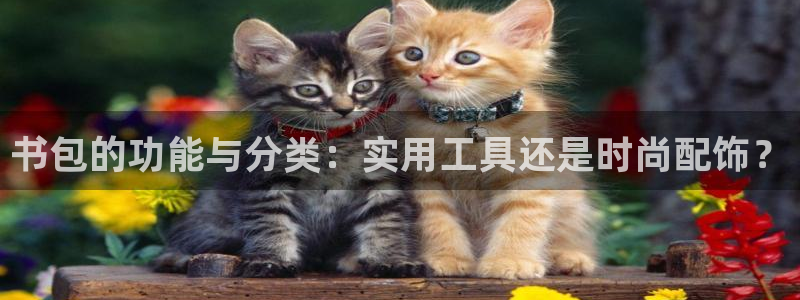 卧龙区维也纳娱乐会所：书包的功能与分类：