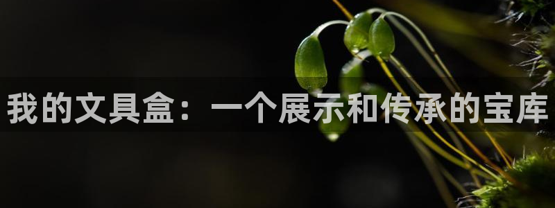 绥阳卧龙湖娱乐场地：我的文具盒：一个展示