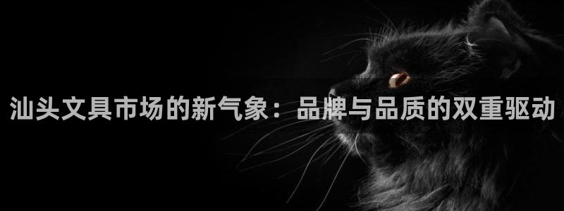 卧龙娱乐账号登录设置：汕头文具市场的新气
