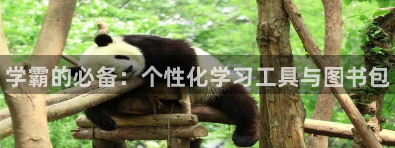 杏耀娱乐 0 47卧龙：学霸的必备：个性