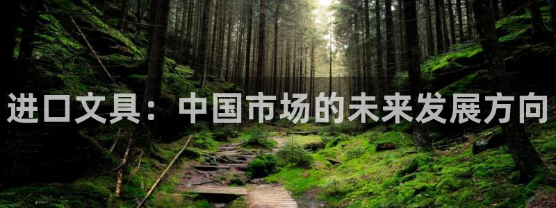 卧龙娱乐注册地址是哪里：进口文具：中国市