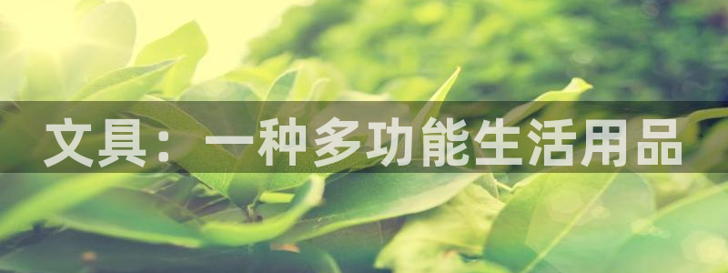 卧龙娱乐桐333OO：文具：一种多功能生