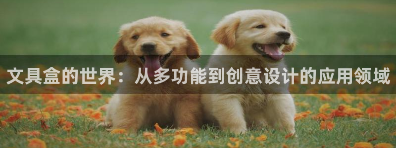 卧龙沙滩蹦床娱乐：文具盒的世界：从多功能