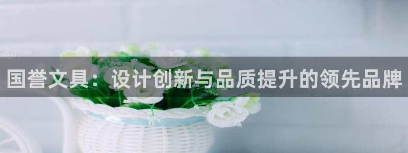 卧龙凤雏娱乐夫妻：国誉文具：设计创新与品