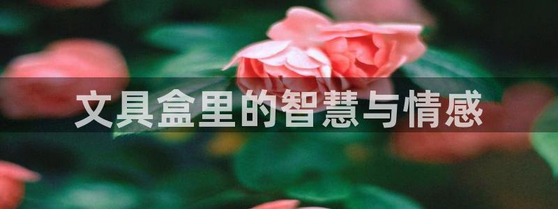 sky娱乐  0 47卧龙：文具盒里的智