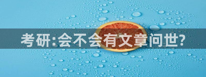 卧龙娱乐场所：考研:会不会有文章问世?