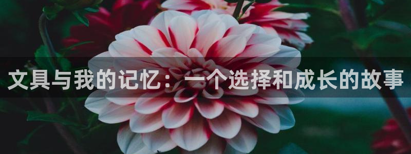 卧龙娱乐主管是谁呀：文具与我的记忆：一个