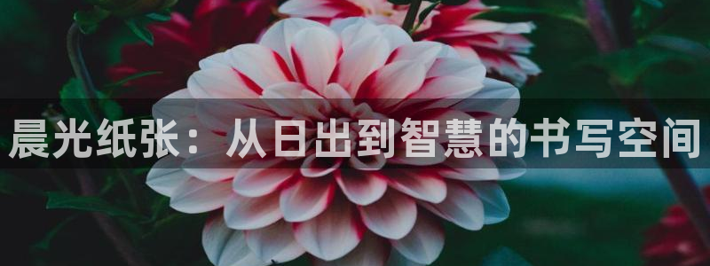 卧龙棋牌娱乐官网：晨光纸张：从日出到智慧