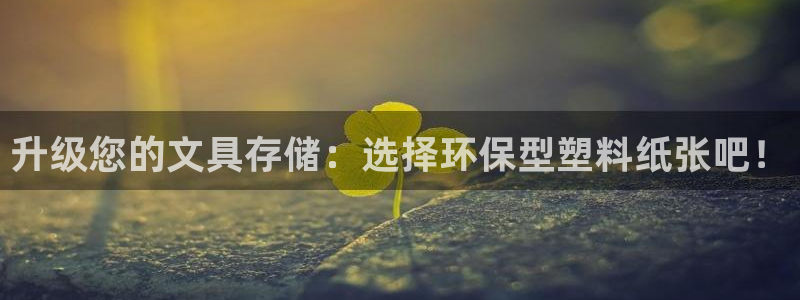 卧龙休闲娱乐推荐：升级您的文具存储：选择