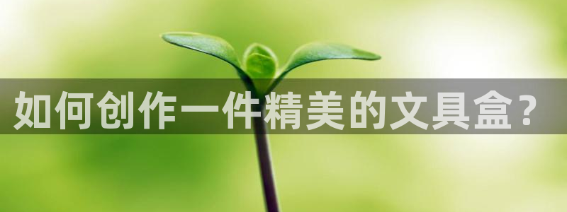 卧龙娱乐主管是谁呀：如何创作一件精美的文