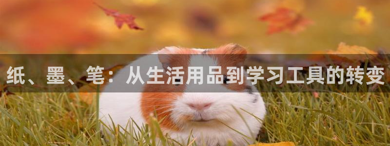 卧龙区娱乐设备：纸、墨、笔：从生活用品到