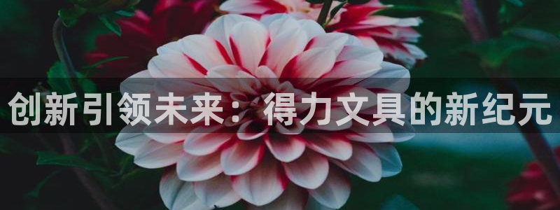卧龙山娱乐：创新引领未来：得力文具的新纪