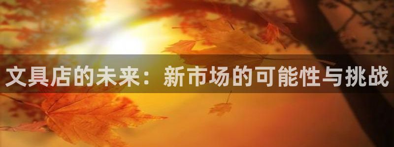 卧龙娱乐是哪个系列：文具店的未来：新市场