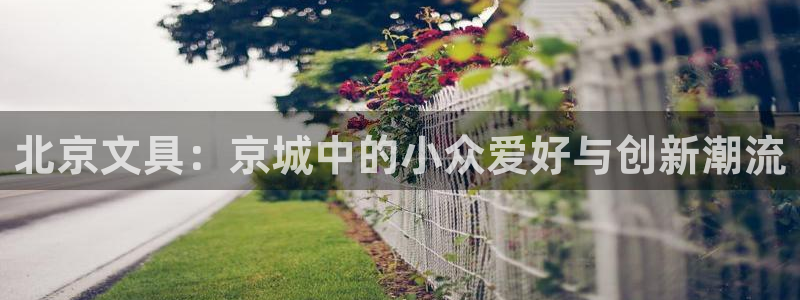 广丰卧龙城娱乐：北京文具：京城中的小众爱
