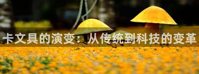 卧龙娱乐382223主管：卡文具的演变：