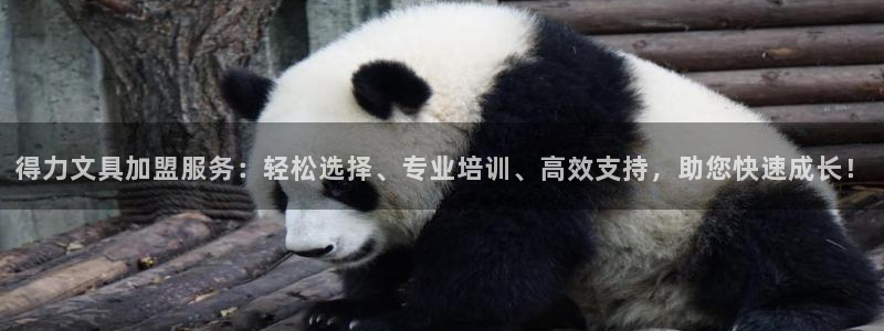 卧龙娱乐设备：得力文具加盟服务：轻松选择