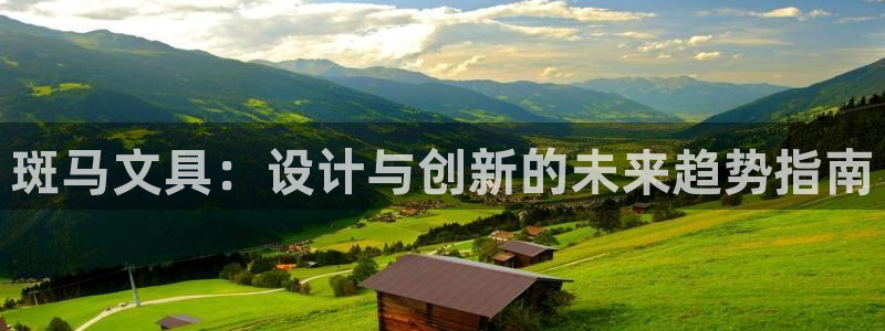 柏林娱乐 044 卧龙：斑马文具：设计与