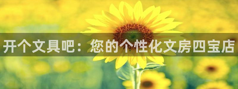 卧龙娱乐在线下载游戏：开个文具吧：您的个