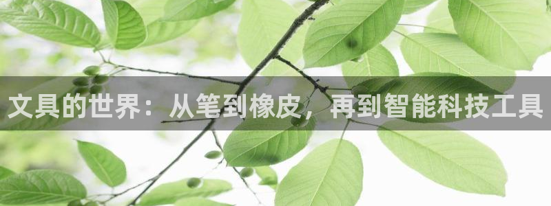 卧龙娱乐挂机软件下载：文具的世界：从笔到