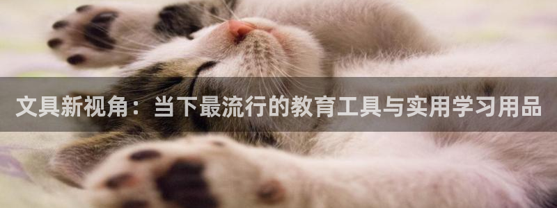 卧龙娱乐322901：文具新视角：当下最