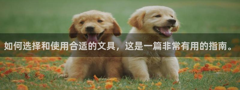 卧龙娱乐注册开户：如何选择和使用合适的文