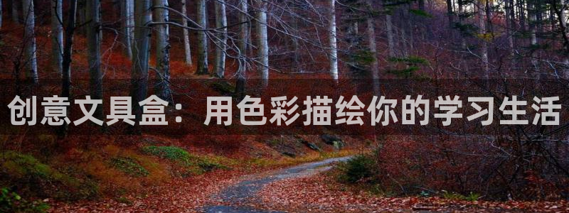 卧龙娱乐优七九九47：创意文具盒：用色彩