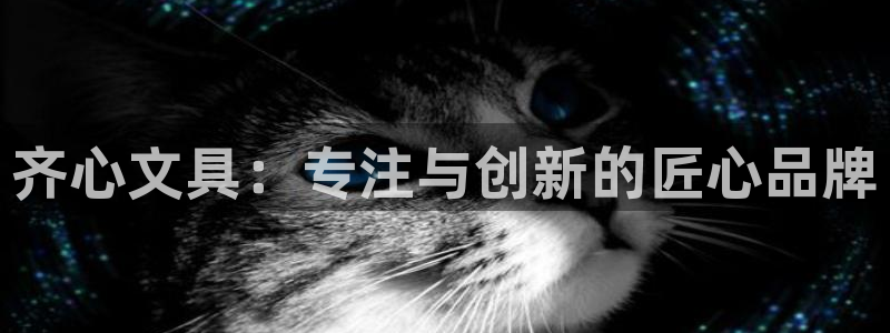 柏林娱乐- 0 7卧龙：齐心文具：专注与