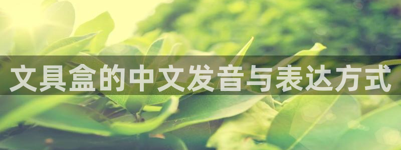卧龙玩娱乐场：文具盒的中文发音与表达方式
