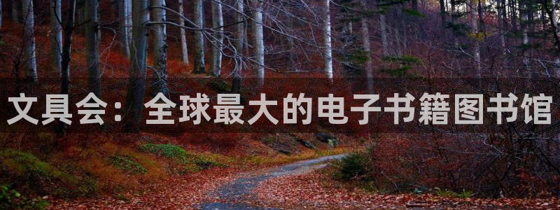 卧龙桥休闲娱乐园：文具会：全球最大的电子