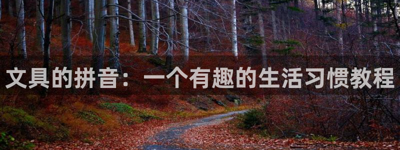 卧龙2神机娱乐代理：文具的拼音：一个有趣