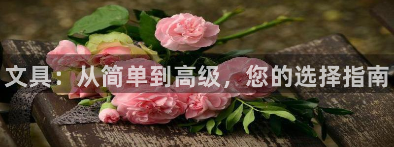 SKY娱乐卧龙招商60447：文具：从简