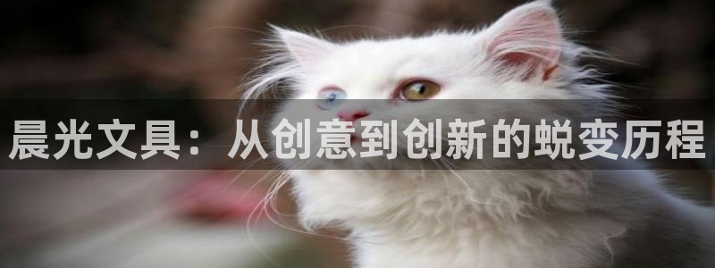 卧龙娱乐挂机平台官网：晨光文具：从创意到