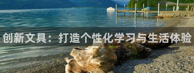 卧龙镇娱乐：创新文具：打造个性化学习与生